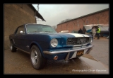 Ford Mustang 1966.DNG-2
